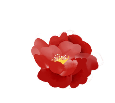 小清新水彩風(fēng)紅色山茶花朵