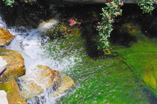 落花流水