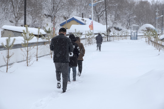 雪中行人