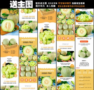紋蜜瓜詳情頁