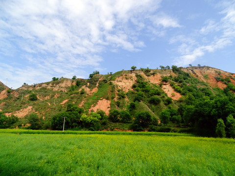 田园风光