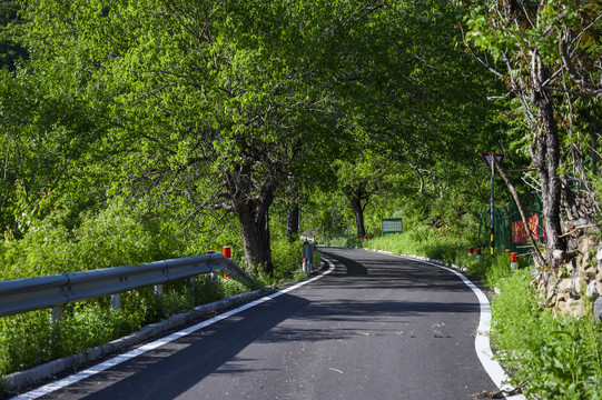 山路