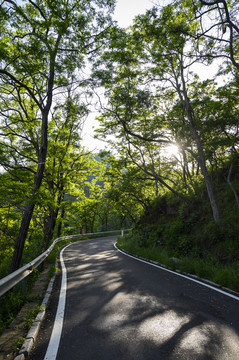 山间公路