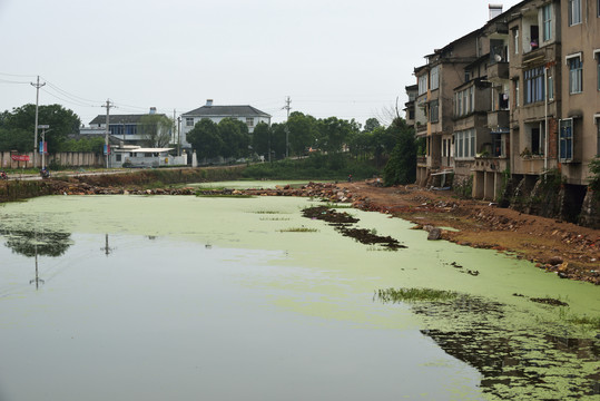 枝城镇西湖公园建设工地