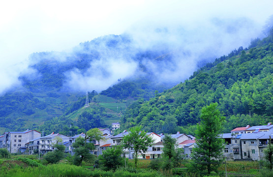 向坝风光BU