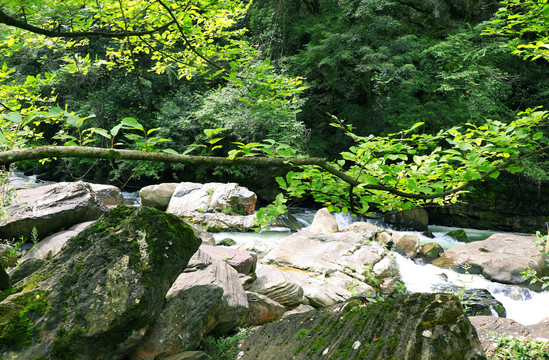 向坝十八里长峡L