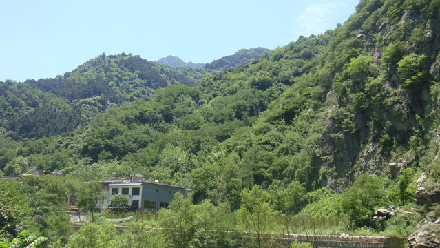 秦岭汤峪