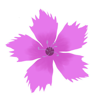 手繪卡通小花
