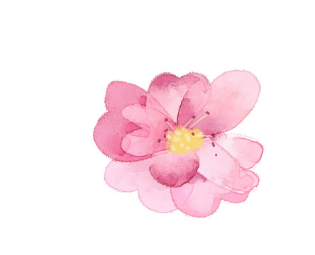 小清新水彩风粉红色花朵