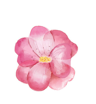 小清新水彩風(fēng)粉紅色花兒