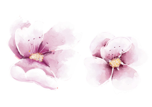 小清新水彩风粉紫色花朵