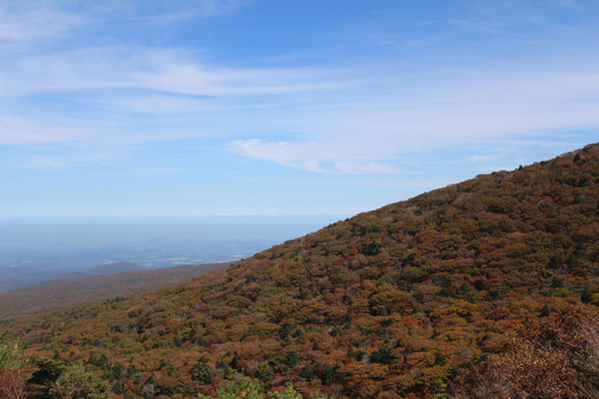 秋山