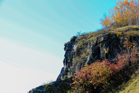秋季岩石白桦林