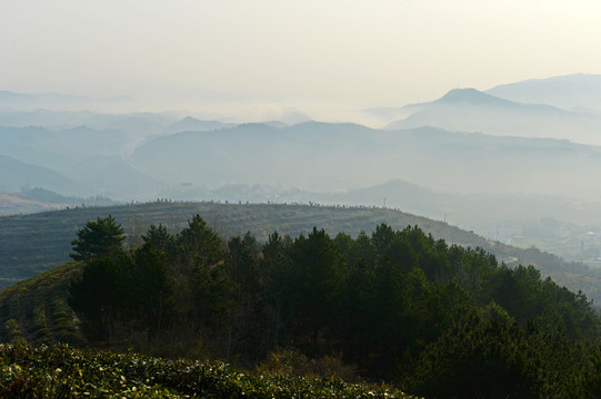 县河云雾EN