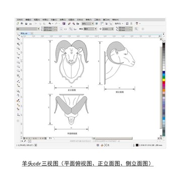 羊頭cdr平面圖立面圖