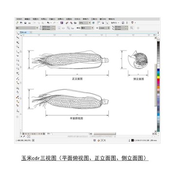 玉米cdr平面圖立面圖