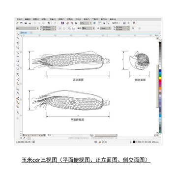 玉米cdr平面图立面图