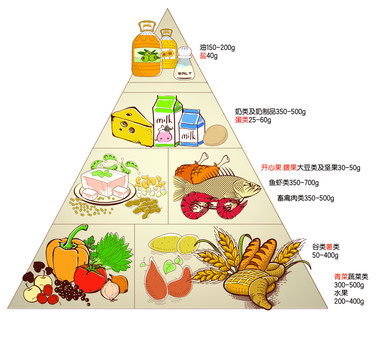 食物营养金字塔