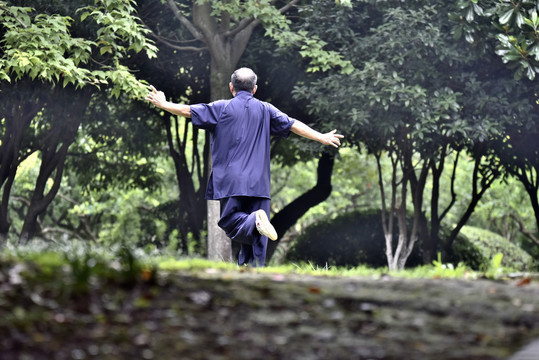 老年男人打太极拳