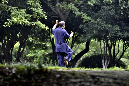 老年男人打太极拳