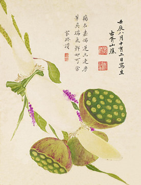 項圣謨花卉十開圣謨