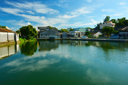 乡村水塘