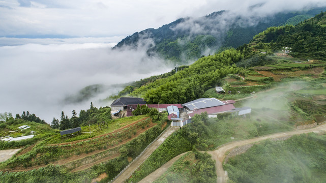 高山鹿场