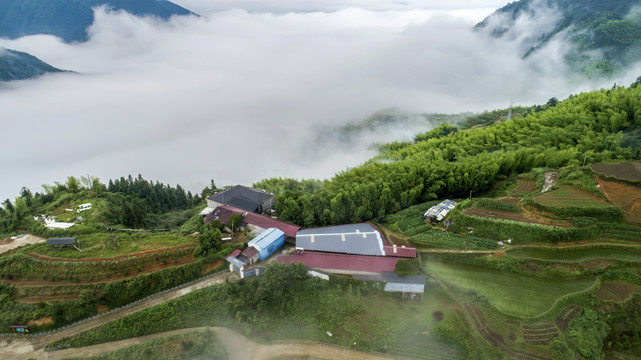 高山鹿场