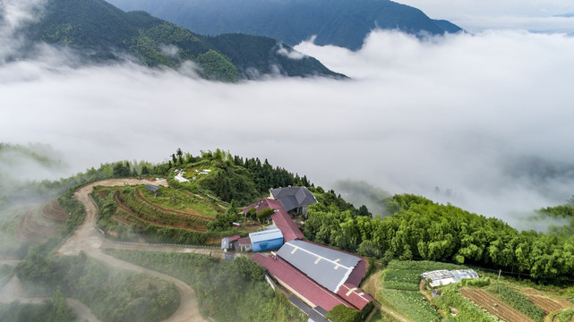 高山鹿场