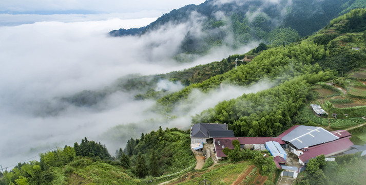 高山田园