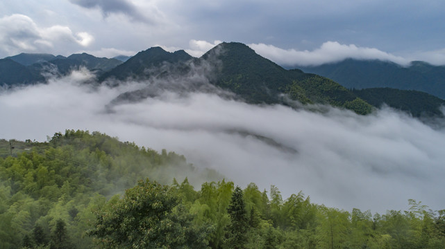 高山云海