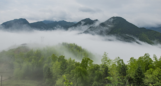 寨头岭风光