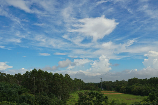 蓝天田野