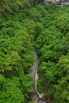 川西竹海