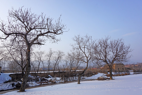 农村雪景