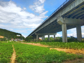 乡村田园风景