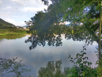 乡村河流风景