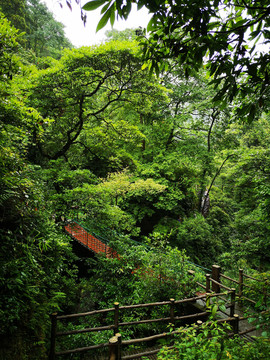 山中栈道