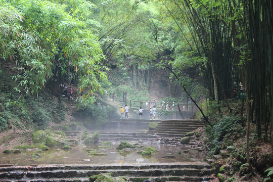 川西竹海