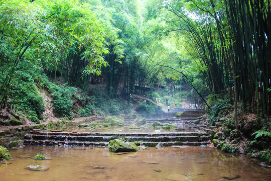 川西竹海