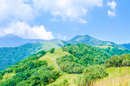 高山风光壁纸