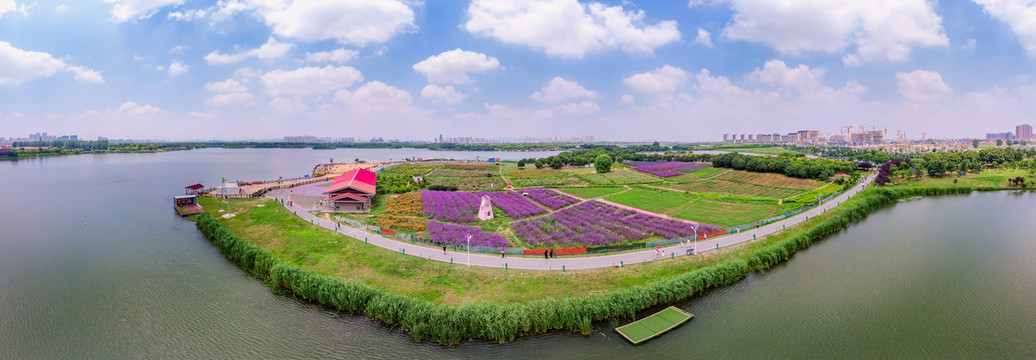 春日下的虎丘湿地公园