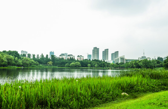 湖水城市风景画