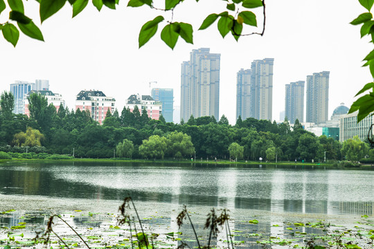 湖水城市风景画