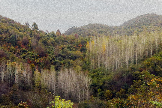 电脑油画秋天的山林