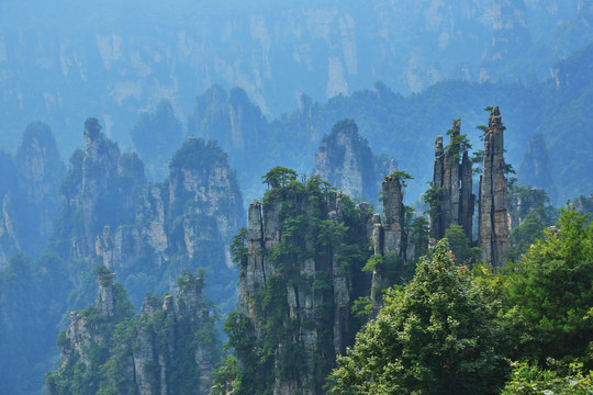 张家界砂岩峰林地貌景观