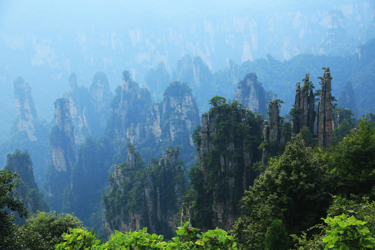 张家界景区石峰峰林景观