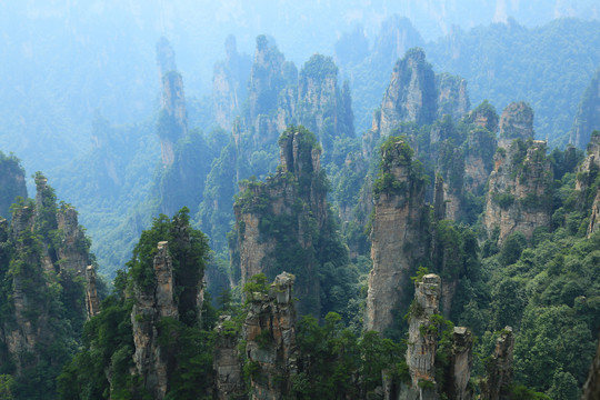 张家界风景区石英砂岩峰林景观