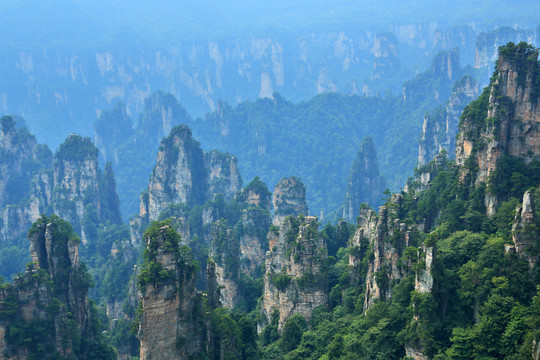 张家界风景区砂岩峰林地貌