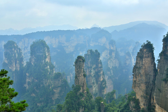 湖南张家界群峰景观